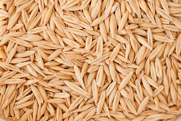 Image showing Whole grain oats