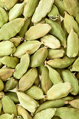 Image showing Cardamom whole