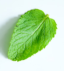 Image showing Fresh mint leaves