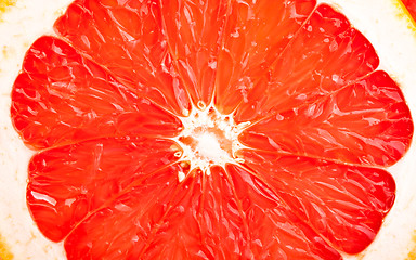 Image showing Core of grapefruit close-up