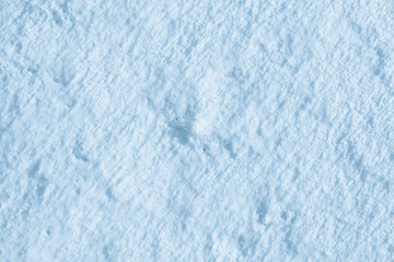 Image showing Texture of the snow