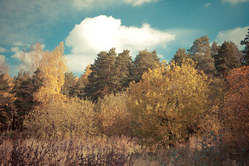 Image showing Autumn landscape