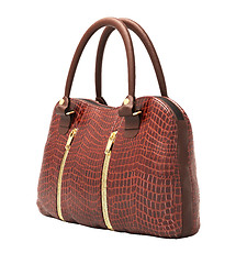 Image showing Crocodile leather handbag isolated