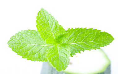 Image showing Fresh mint leaves