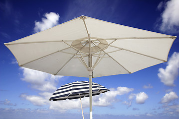 Image showing Beach Parasols