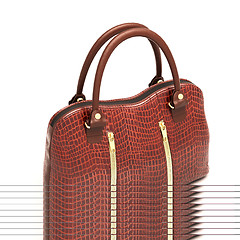 Image showing Crocodile leather handbag isolated