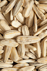 Image showing Sunflower seeds closeup