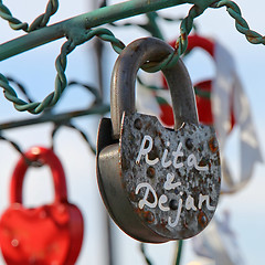 Image showing Tree of Love