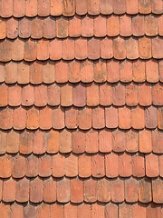 Image showing Plain tile