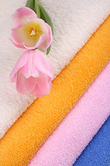 Image showing towels