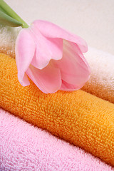 Image showing towels