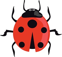 Image showing Ladybird on the green grass.