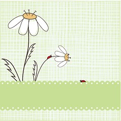 Image showing Ladybird on the green grass.