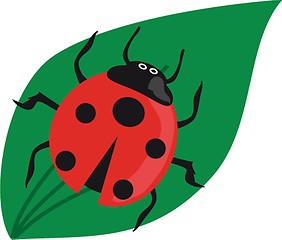 Image showing Ladybird on the green grass.