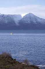 Image showing Norwegian Coast