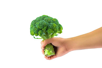 Image showing Have Broccoli