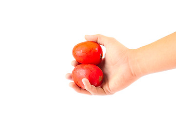 Image showing Fresh Tomatoes