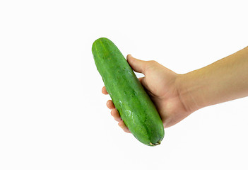 Image showing Fresh Cucumber