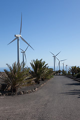 Image showing Some place in Lanzarote