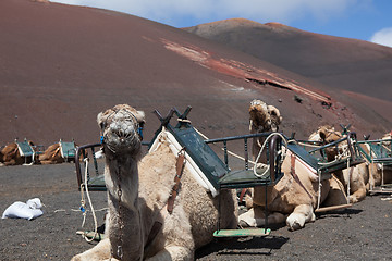 Image showing Some place in Lanzarote