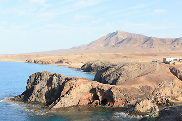 Image showing Papagayo lanzarote 