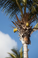 Image showing Some place in Lanzarote