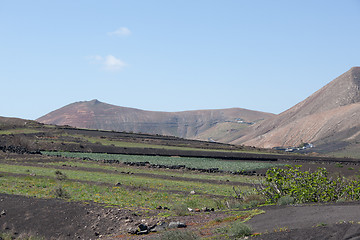 Image showing Some place in Lanzarote