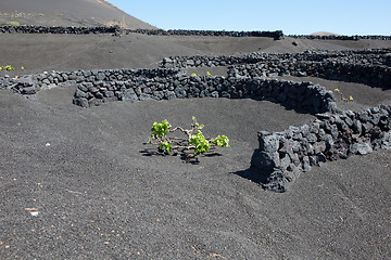 Image showing Some place in Lanzarote