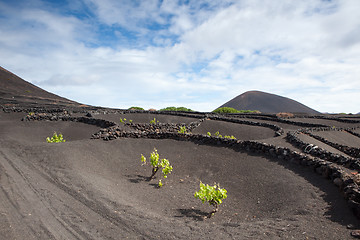 Image showing Some place in Lanzarote