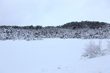 Image showing Winter in Norway