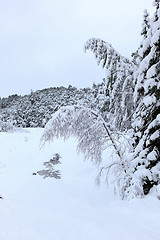 Image showing Winter in Norway