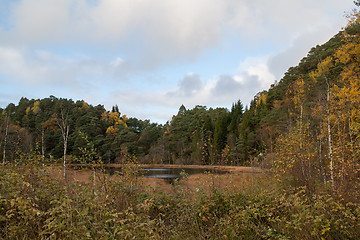 Image showing Autumn in the forest