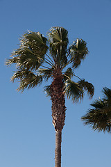 Image showing Some place in Lanzarote