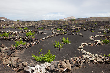 Image showing Some place in Lanzarote