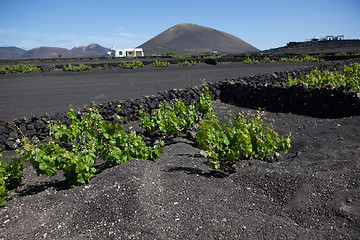 Image showing Some place in Lanzarote