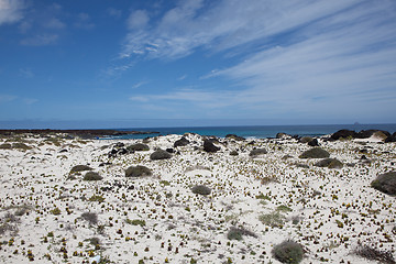 Image showing Some place in Lanzarote