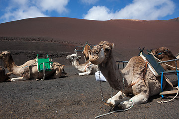 Image showing Some place in Lanzarote