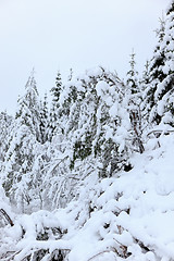 Image showing Winter in Norway