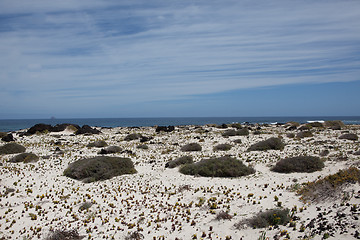 Image showing Some place in Lanzarote