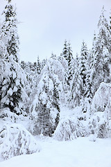 Image showing Winter in Norway