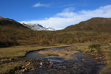 Image showing Small river