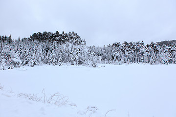 Image showing Winter in Norway