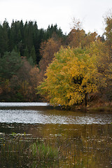 Image showing Norwegian landscape