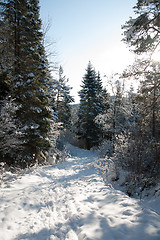 Image showing Norwegian landscape