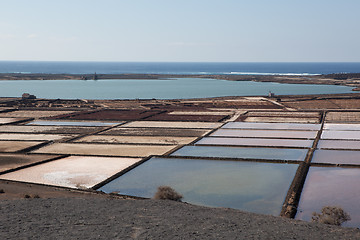 Image showing Some place in Lanzarote