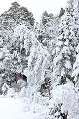 Image showing Winter in Norway