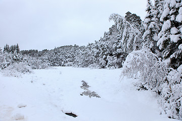 Image showing Winter in Norway