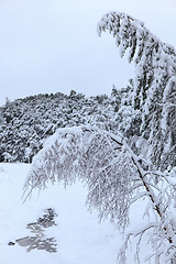 Image showing Winter in Norway