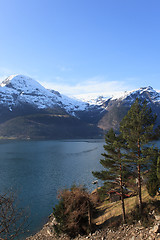 Image showing Fjords and mountains