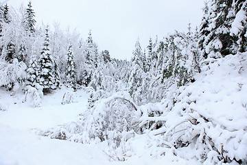 Image showing Winter in Norway